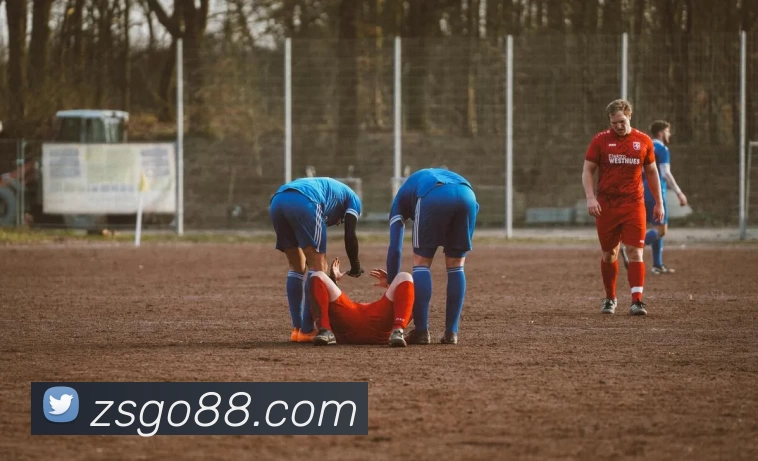 钻石娱乐官网平台生态图