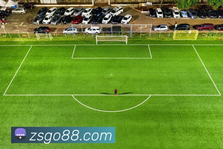 数据防护可视化